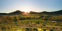 Rhône producers reflect on the ‘perfect position’ for sustainability